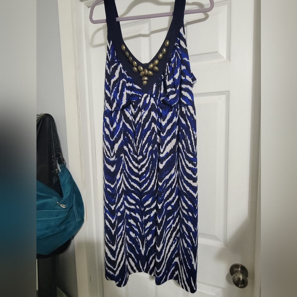 Blue and White Zebra Print Dress with Gold Accents